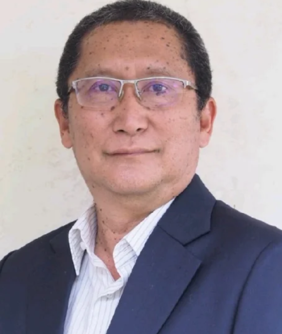 Ir. Satya Aditya Wibowo MBA., CMT